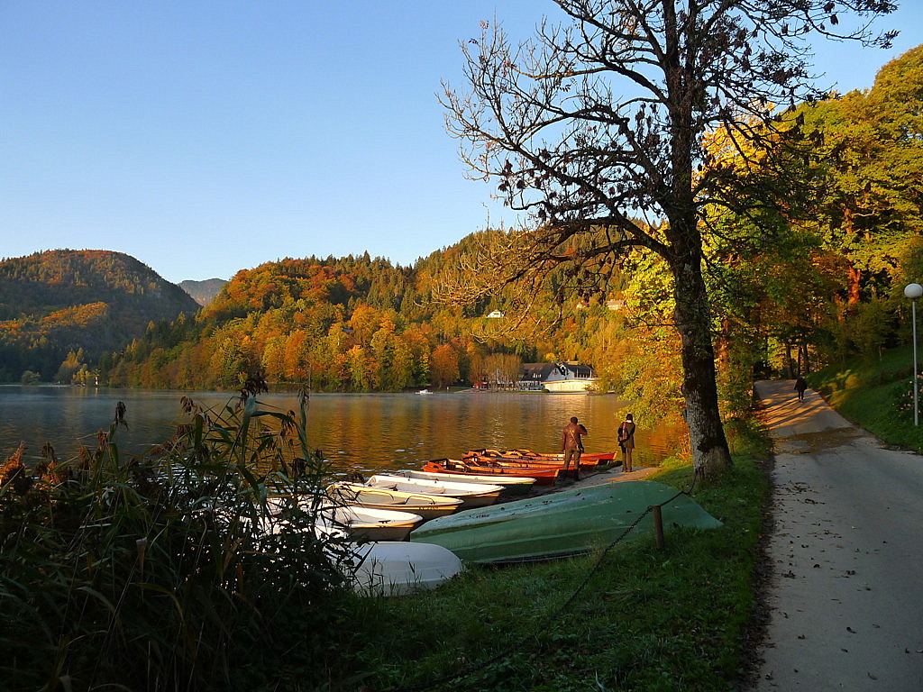 Bled Lake